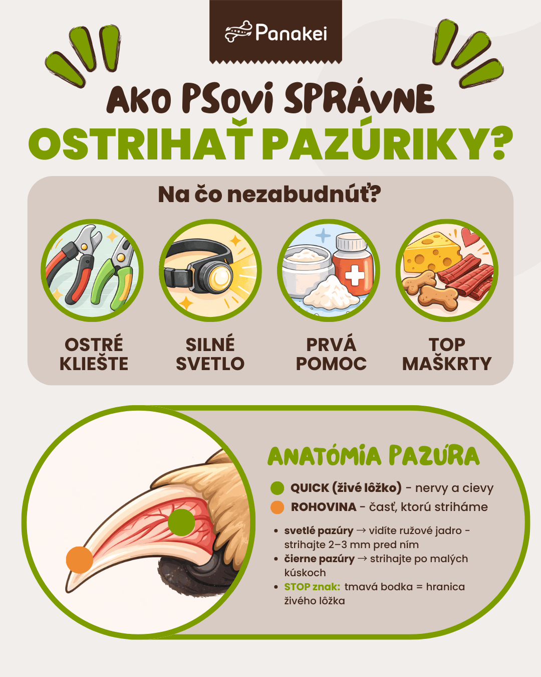 Ako ostrihať psovi pazúriky?